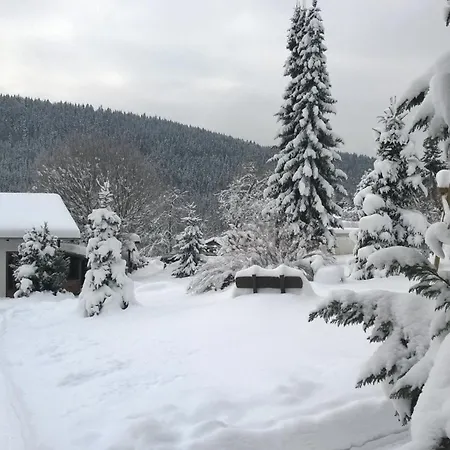 Vakantiehuis Bruno - Suedhanglage Mit 2 Schlafzimmern Feldberg (Baden-Wurttemberg)
