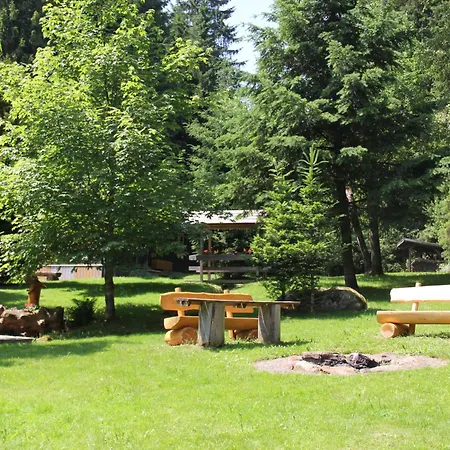 Bruno - Suedhanglage Mit 2 Schlafzimmern * Feldberg (Baden-Wurttemberg)