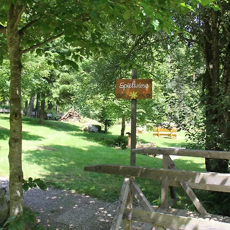Bruno - Suedhanglage Mit 2 Schlafzimmern * Feldberg (Baden-Wurttemberg)