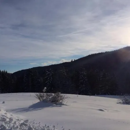 Bruno - Suedhanglage Mit 2 Schlafzimmern