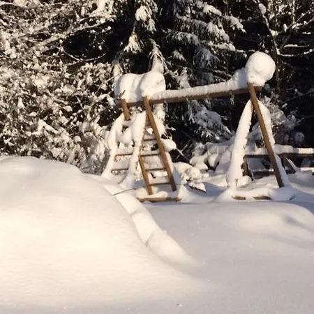 Bruno - Suedhanglage Mit 2 Schlafzimmern Feldberg (Baden-Wurttemberg)