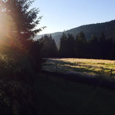 Bruno - Suedhanglage Mit 2 Schlafzimmern Feldberg (Baden-Wurttemberg)