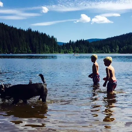 Bruno - Suedhanglage Mit 2 Schlafzimmern Vakantiehuis *